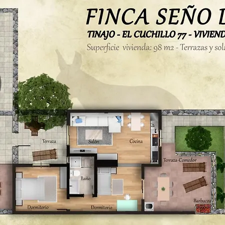 Seño Donato * Tinajo